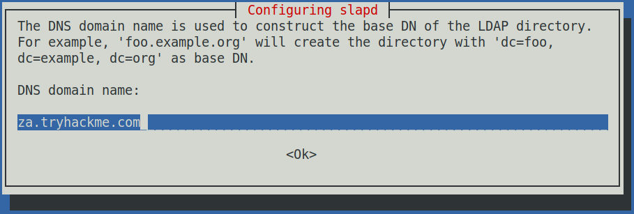 slapd DNS domain name setup