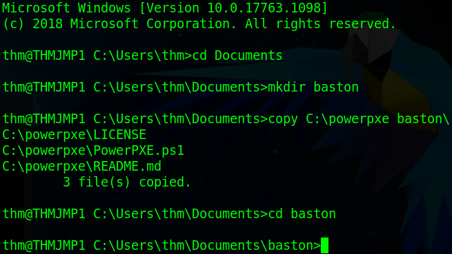 Running the initial setup commands