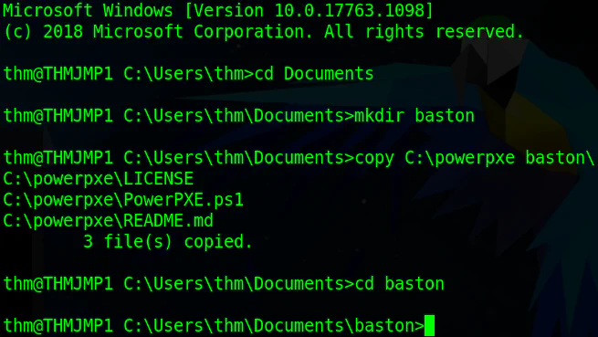 Running the initial setup commands