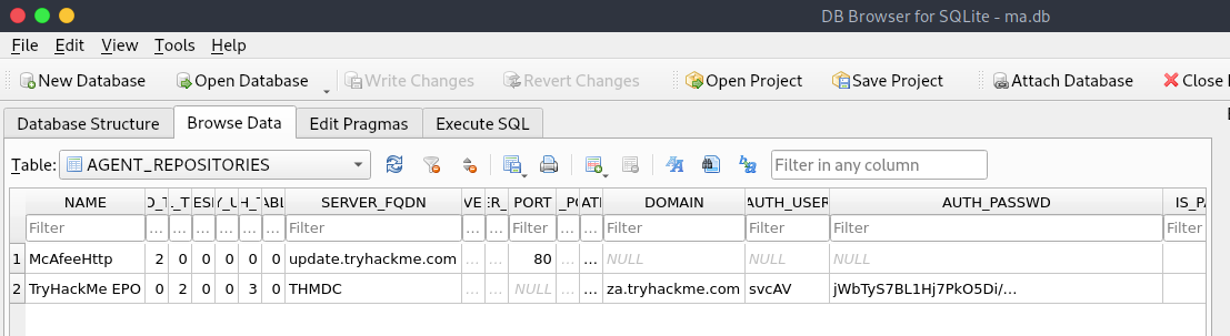 Database file opened