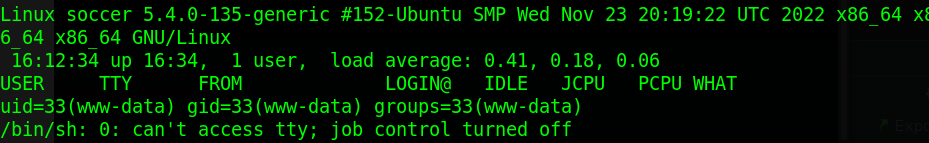 www-data user shell