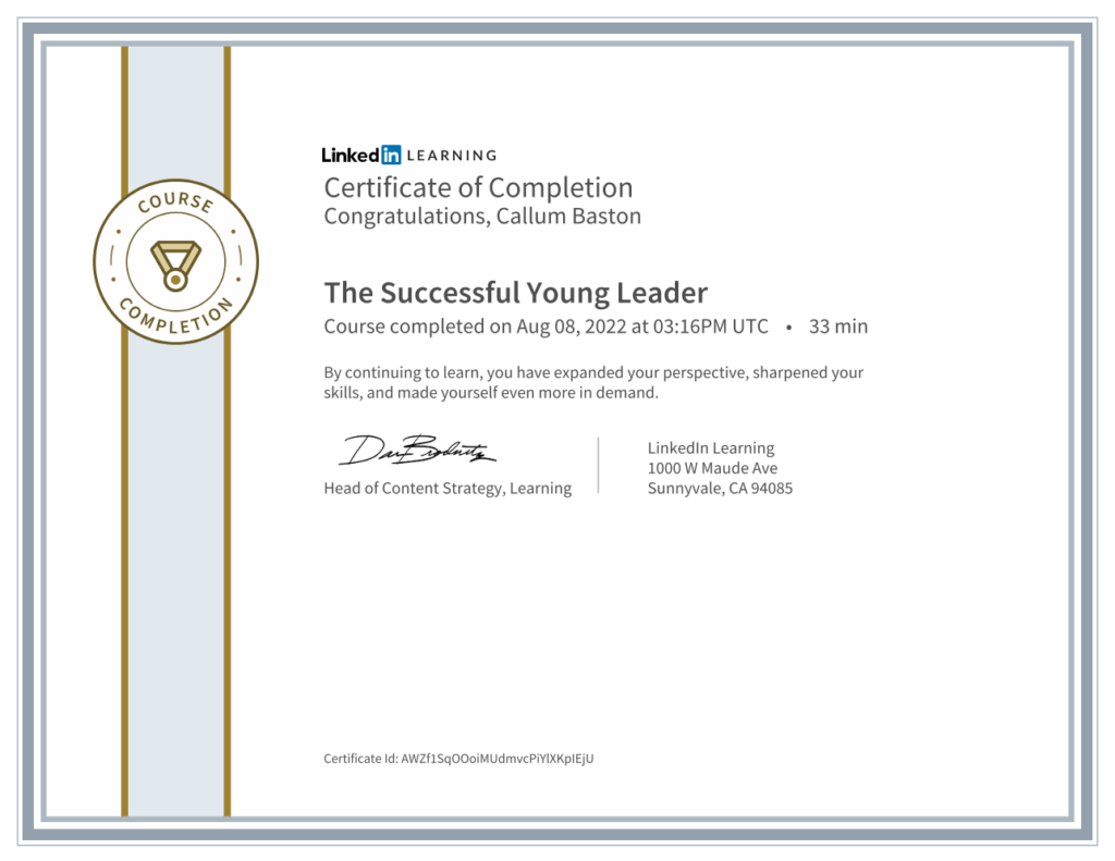 the successful young leader